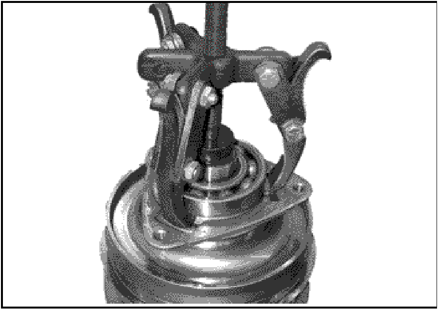 520065657_graphic-text239